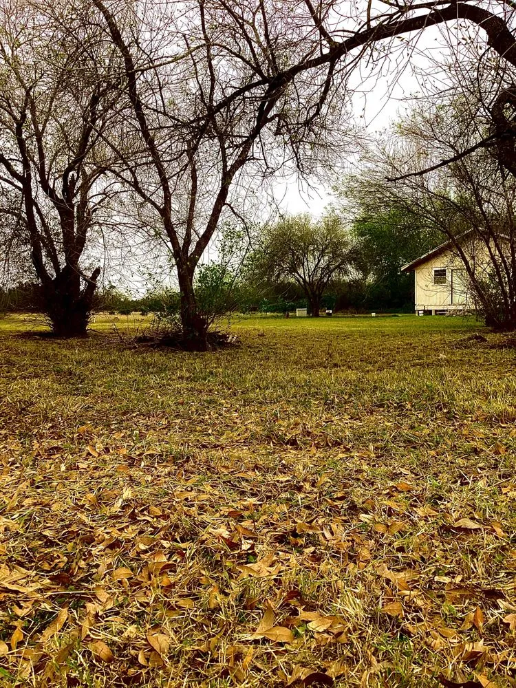 Trusted garden landscaping in Rio Hondo, TX - Cortez Lawn Services