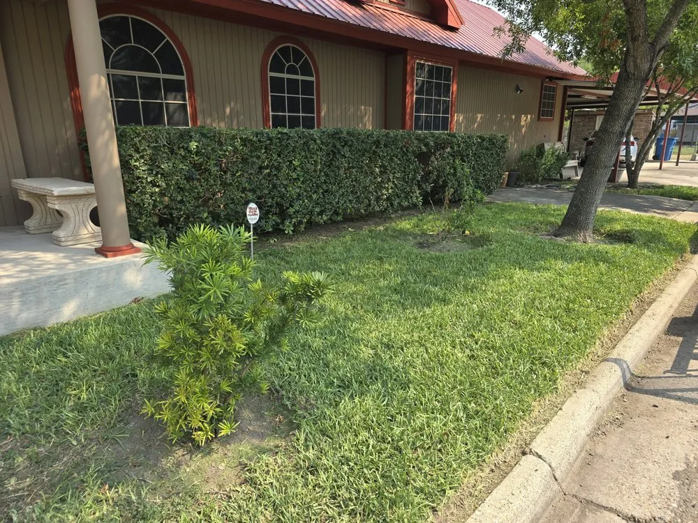 Top-rated landscaping services experts serving Rio Hondo, TX - Cortez Lawn Services
