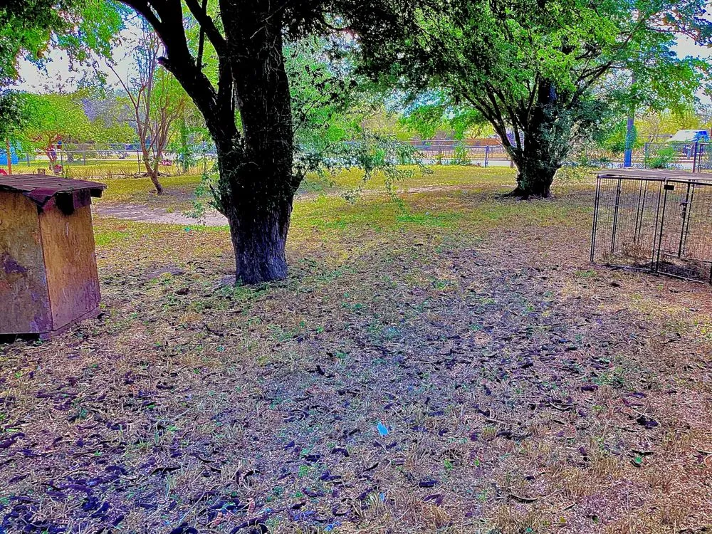 Trusted yard maintenance in Rio Hondo, TX - Cortez Lawn Services