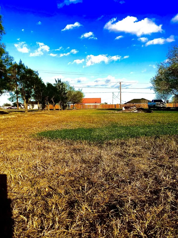 Local yard cleanup service for beautiful yards across Rio Hondo, TX - Cortez Lawn Services