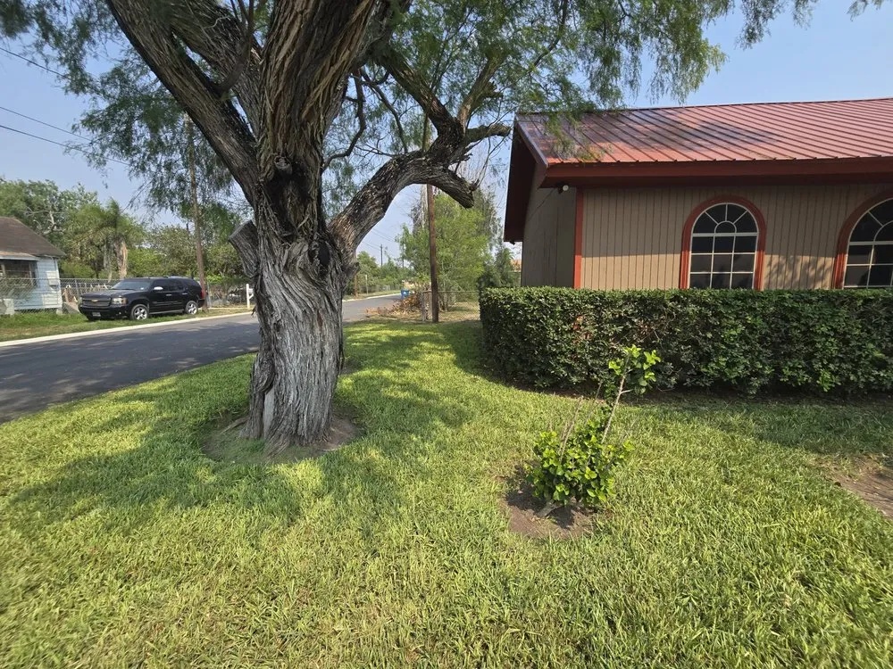 Affordable lawn mowing service experts serving Rio Hondo, TX - Cortez Lawn Services