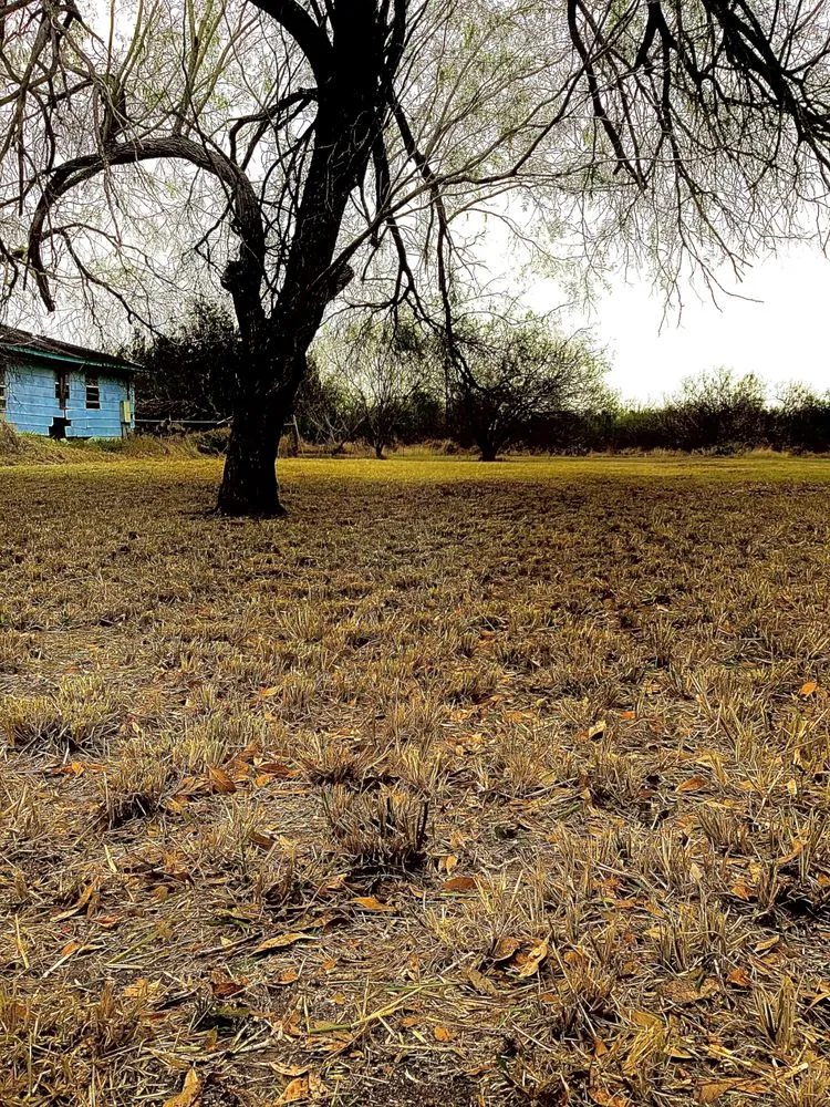 Trusted yard cleanup service for homes in Rio Hondo, TX by Cortez Lawn Services