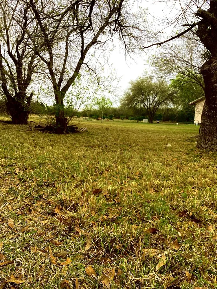 Affordable landscape installation experts serving Rio Hondo, TX - Cortez Lawn Services