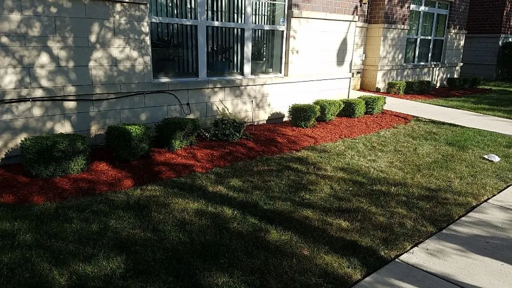 Expert outdoor landscaping experts serving Chicago, IL - Cortez Sunshine Landscaping