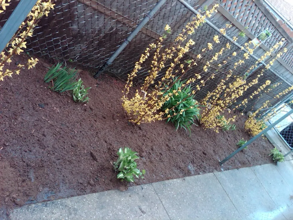 Reliable residential landscaping in Chicago, IL - Cortez Sunshine Landscaping