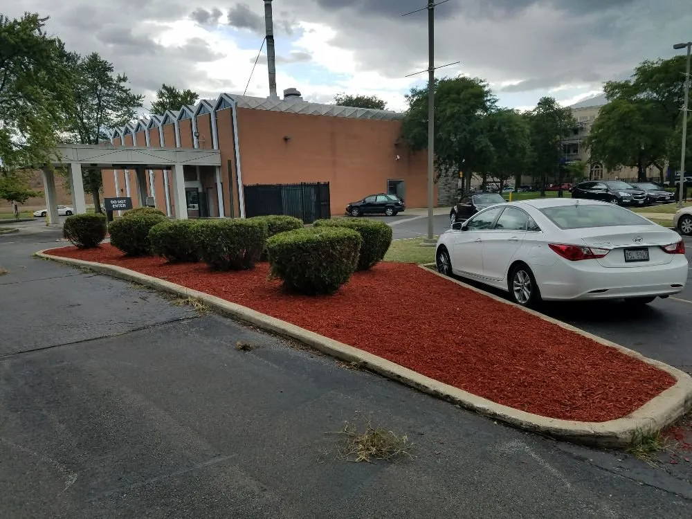 Custom landscape installation in Chicago, IL - Cortez Sunshine Landscaping