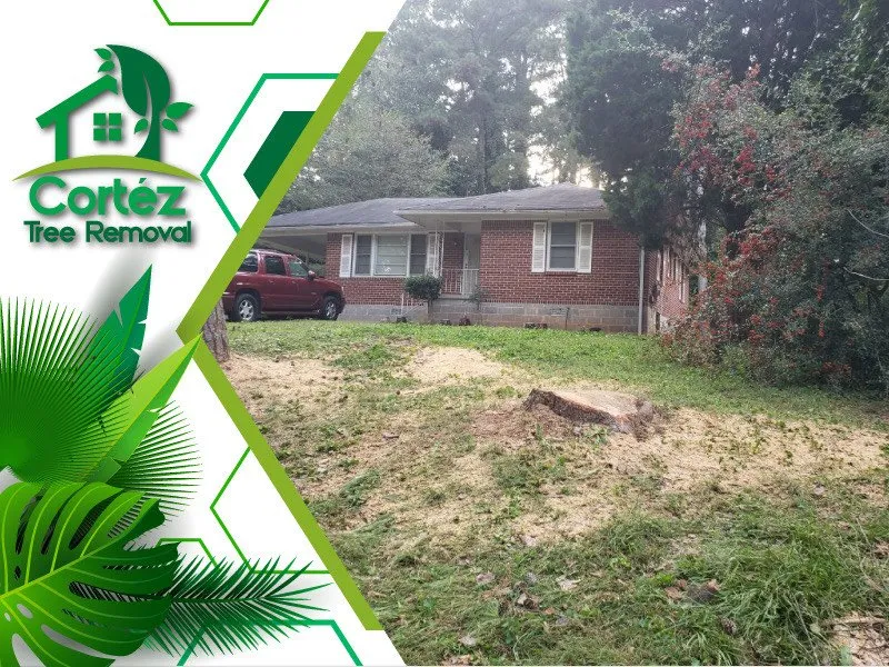 Local residential landscaping near you across Atlanta, GA - Cortez Tree Removal