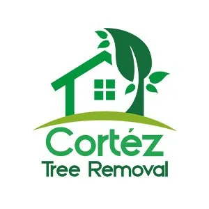 Professional landscape design in Atlanta, GA by Cortez Tree Removal