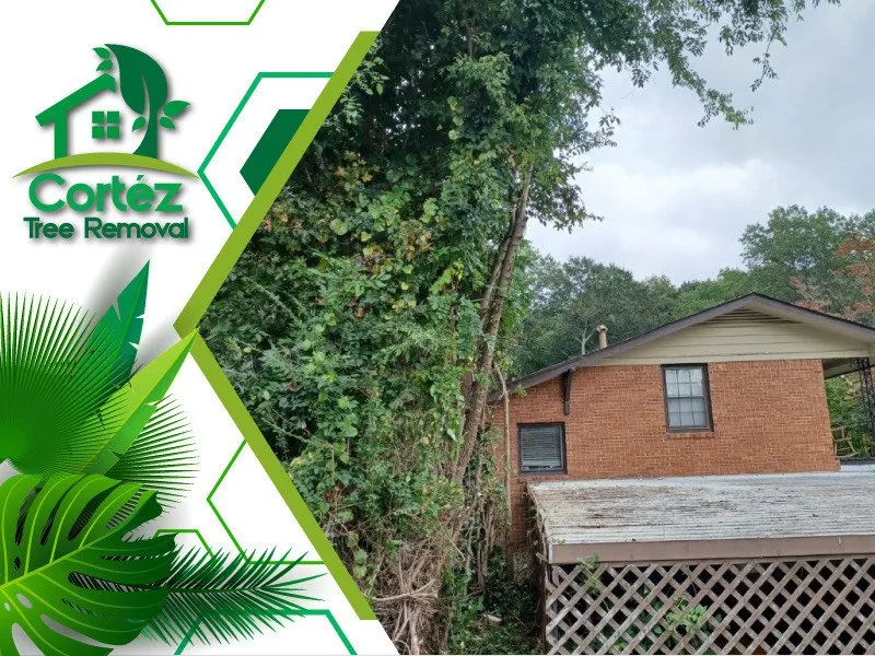 Custom garden landscaping in Atlanta, GA - Cortez Tree Removal