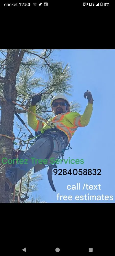 Custom outdoor landscaping experts serving Ash Fork, AZ - Cortez Tree Services