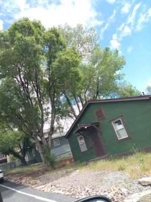 Cortez Tree Services