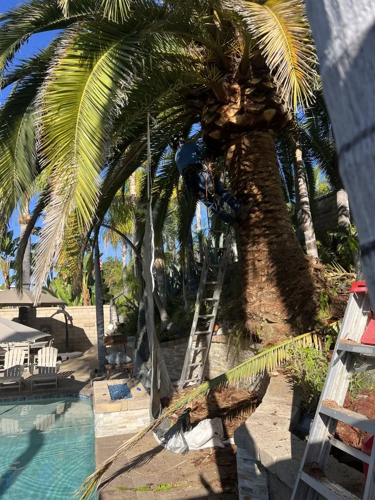Trusted landscape design with custom design across Laguna Beach, CA - Cortez Tree Trimming And Maintenance
