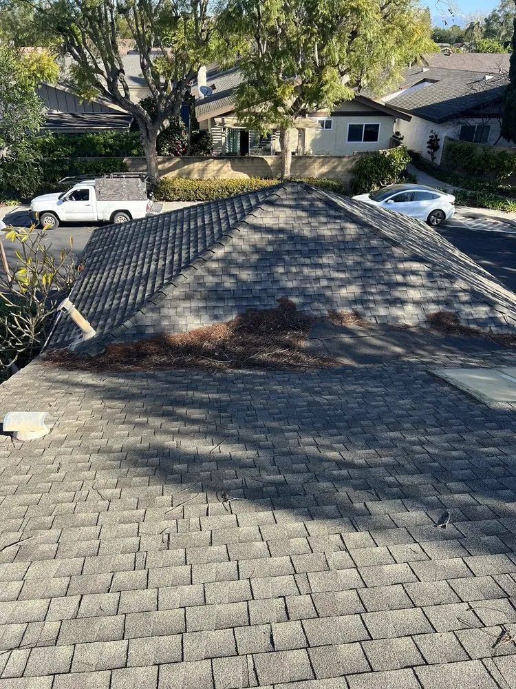 Reliable lawn care service in Laguna Beach, CA by Cortez Tree Trimming And Maintenance
