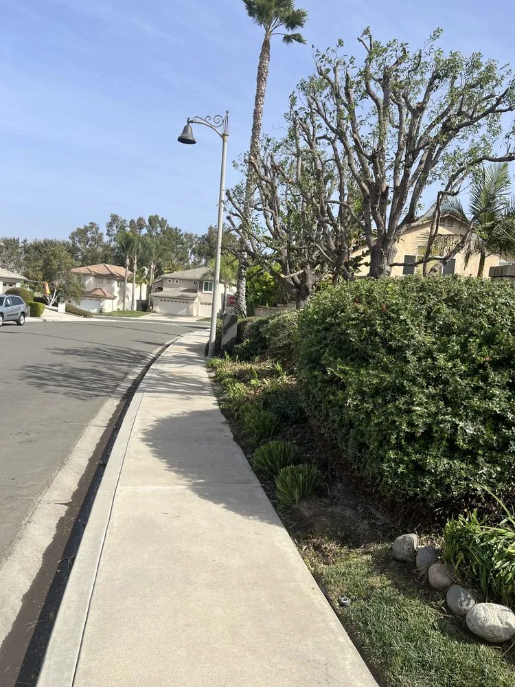 Top-rated lawn mowing service near you across Laguna Beach, CA - Cortez Tree Trimming And Maintenance