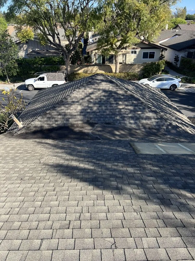 Professional lawn mowing service for outdoor upgrades across Laguna Beach, CA - Cortez Tree Trimming And Maintenance