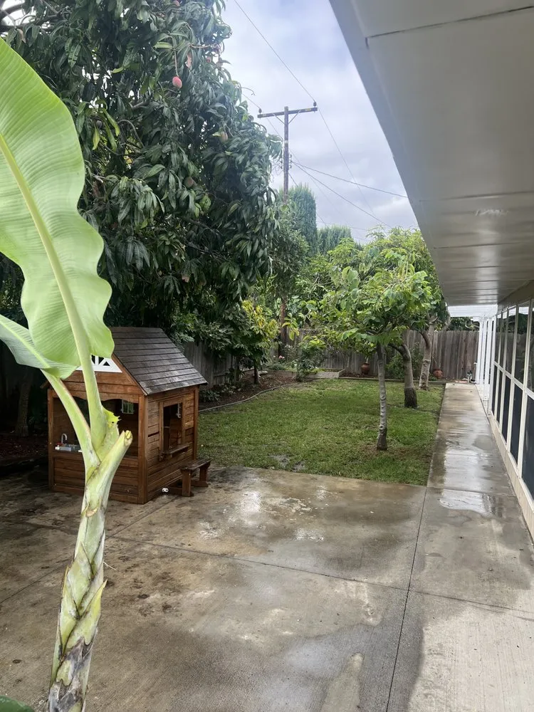 Local residential landscaping in Laguna Beach, CA - Cortez Tree Trimming And Maintenance