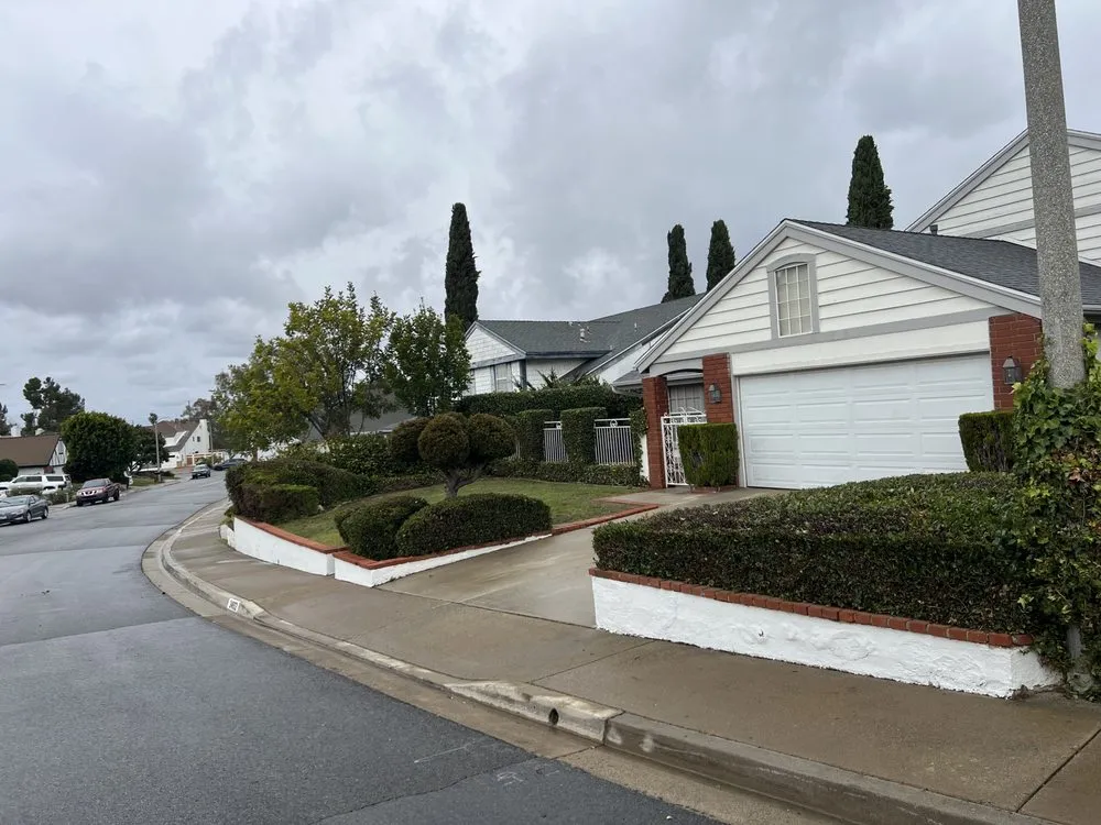 Affordable yard cleanup service experts serving Laguna Beach, CA - Cortez Tree Trimming And Maintenance