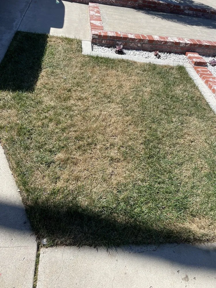 Local landscape design with custom design in Temecula, CA by Corteza Landscaping