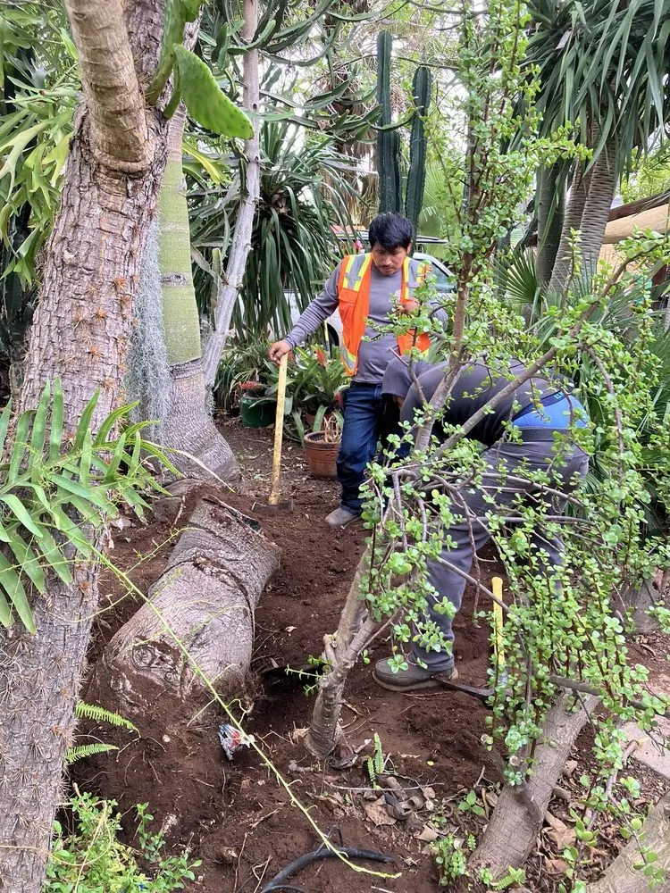 Expert yard maintenance for outdoor upgrades in Temecula, CA by Corteza Landscaping