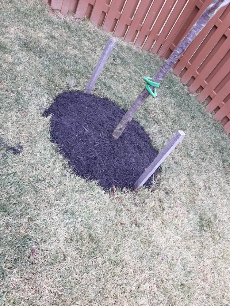 Professional landscape installation experts serving Martinsburg, WV - Corum’s Landscape and Care