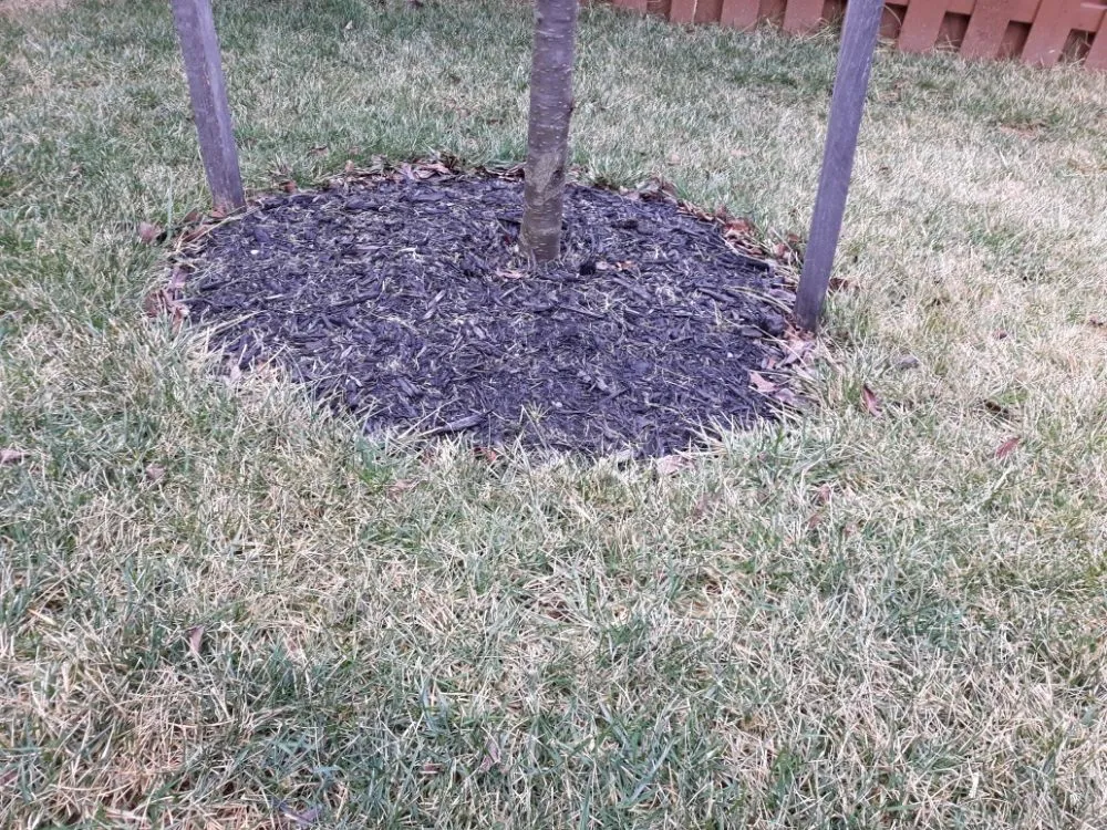 Top-rated garden landscaping experts serving Martinsburg, WV - Corum’s Landscape and Care