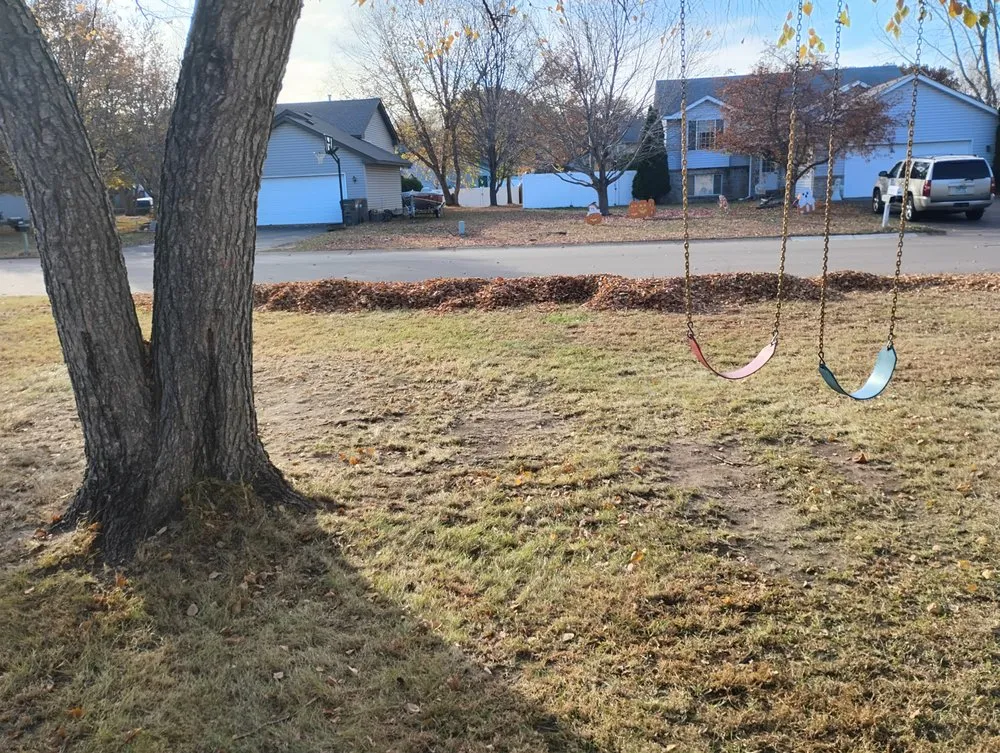 Affordable landscape design for beautiful yards in North Branch, MN by Cory Lee Vorbeck