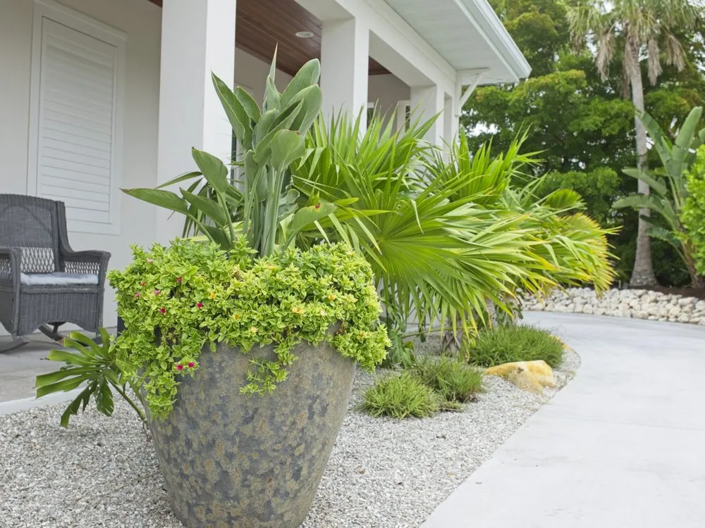 Top-rated lawn mowing service in Venice, FL by CoryC.Clark Landscapes