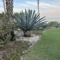 Expert residential landscaping in St. Augustine, FL - Cory’s Classic Cuts