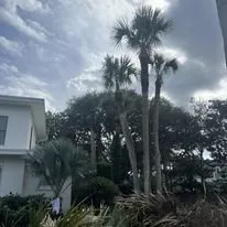Top-rated residential landscaping for residential properties in St. Augustine, FL by Cory’s Classic Cuts