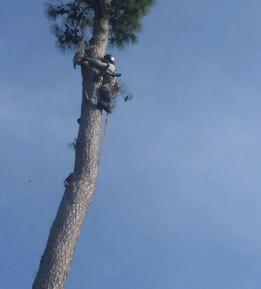 Custom landscaping services for homes across Tomball, TX - Corys Cuts Landscape