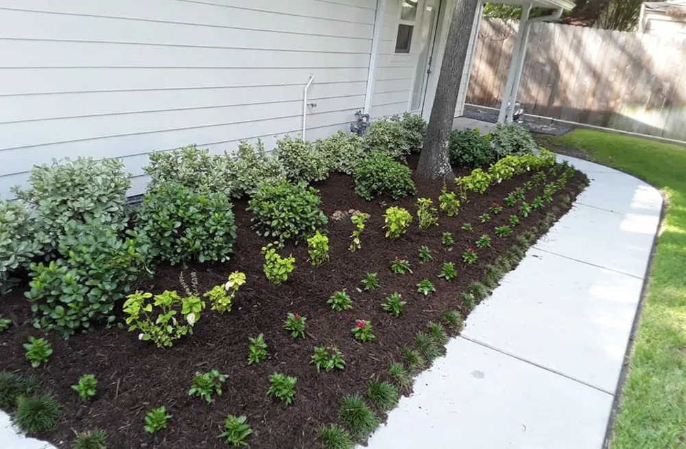 Custom yard maintenance experts serving Tomball, TX - Corys Cuts Landscape