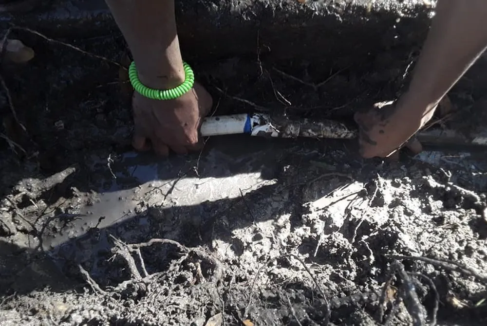 Professional landscaping services in Tomball, TX - Corys Cuts Landscape