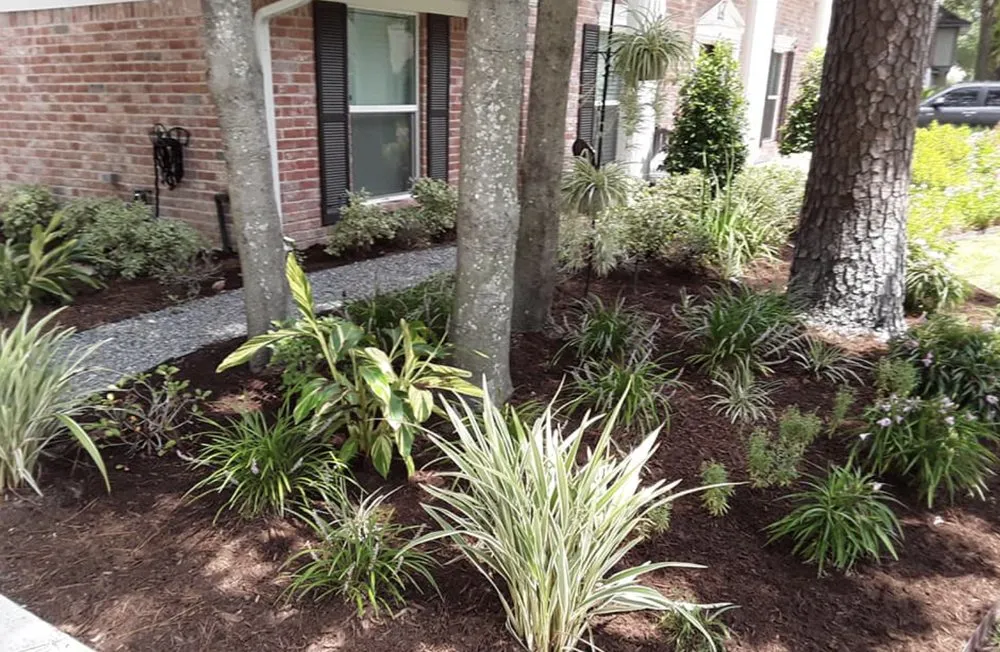 Local lawn mowing service in Tomball, TX - Corys Cuts Landscape