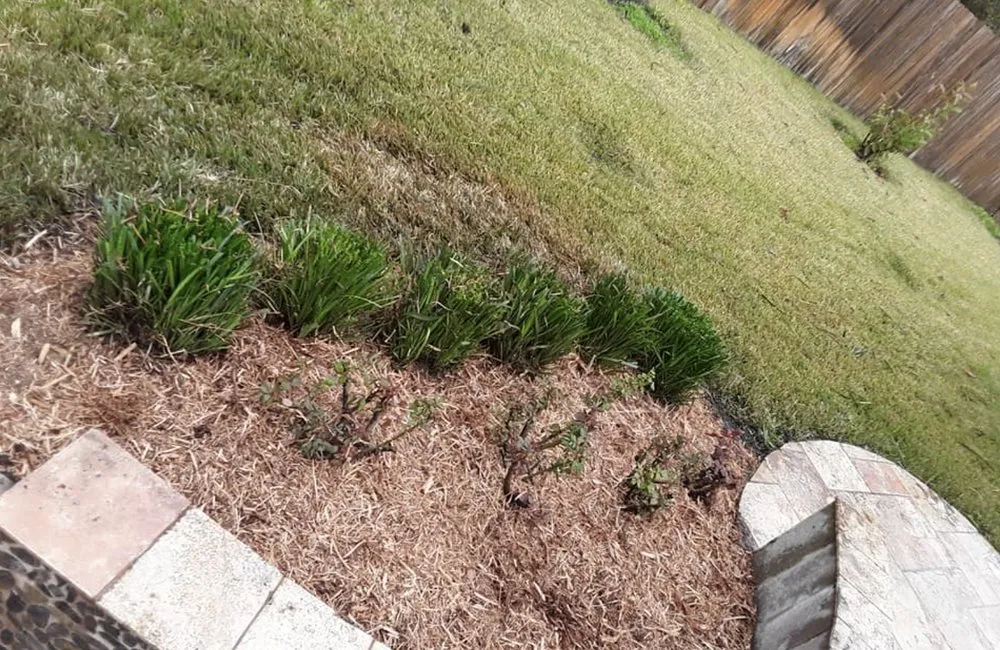 Reliable yard maintenance in Tomball, TX - Corys Cuts Landscape