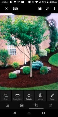 Cory's Landscaping And Lawncare Logo