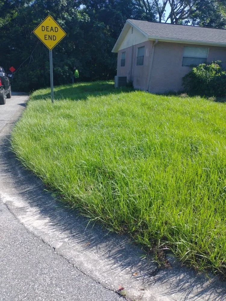 Reliable residential landscaping with custom design across Port Richey, FL - Cory's Lawn Care