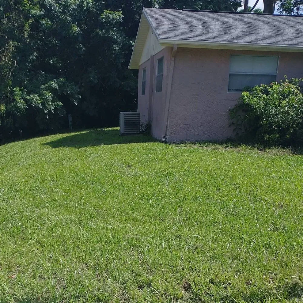 Custom yard maintenance experts serving Port Richey, FL - Cory's Lawn Care
