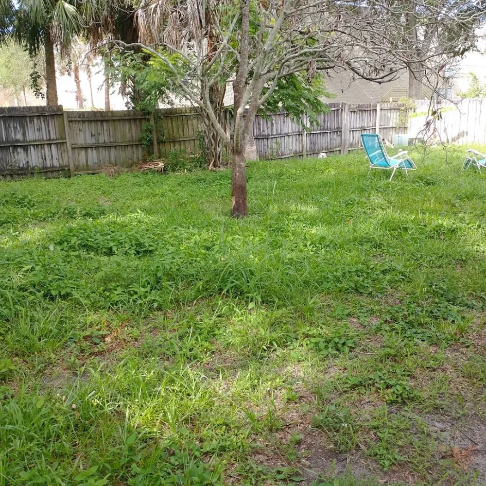 Trusted yard cleanup service in Port Richey, FL by Cory's Lawn Care