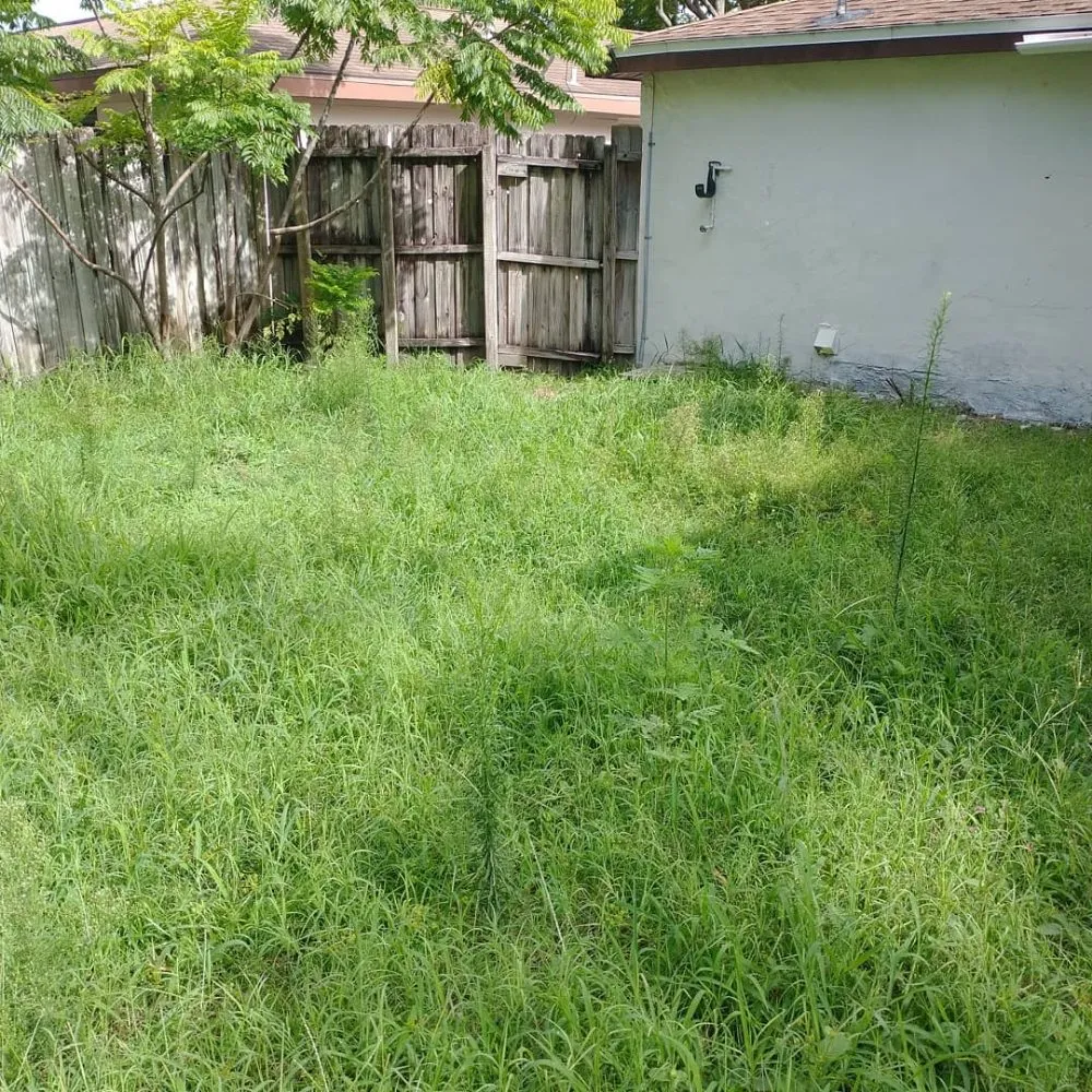 Trusted landscaping services for outdoor upgrades in Port Richey, FL by Cory's Lawn Care