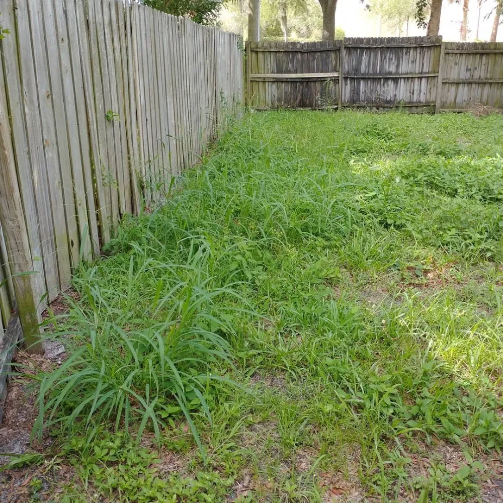 Top-rated yard maintenance for year-round maintenance in Port Richey, FL by Cory's Lawn Care