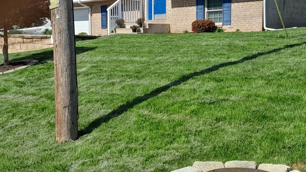 Trusted yard maintenance in Scranton, PA by Cory's Lawn cuts