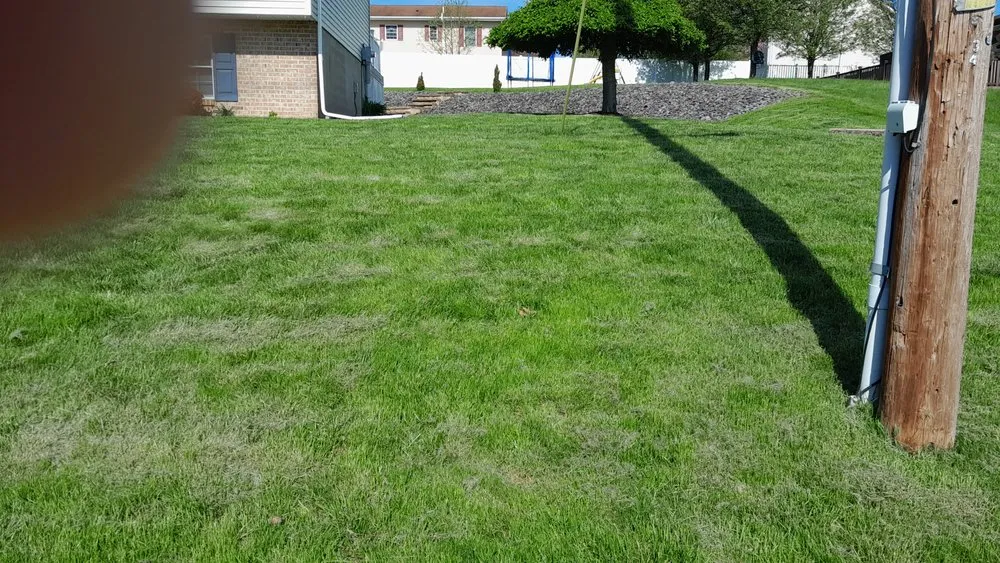 Local outdoor landscaping experts serving Scranton, PA - Cory's Lawn cuts
