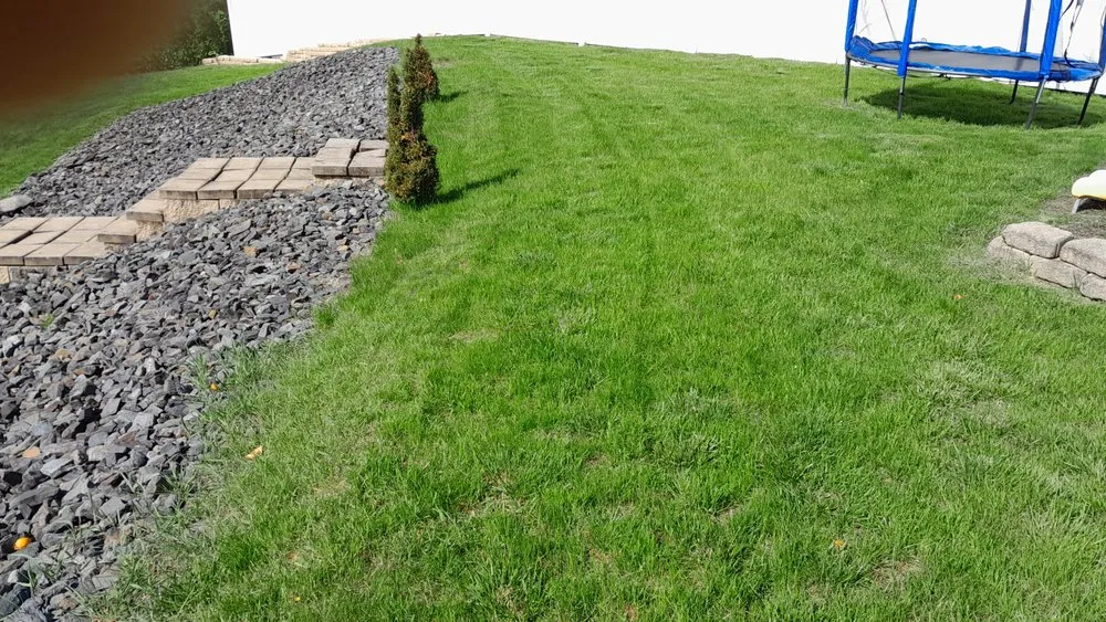 Affordable yard cleanup service in Scranton, PA - Cory's Lawn cuts