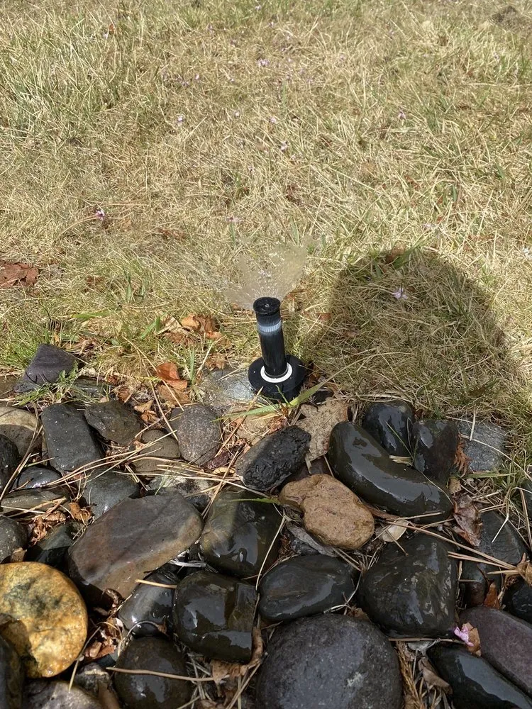 Professional yard maintenance with custom design across Reno, NV - Cory's Lawn Service