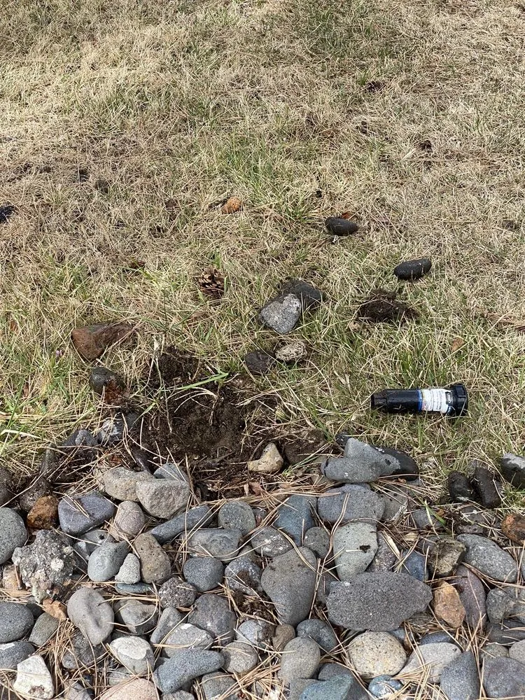 Reliable outdoor landscaping for outdoor upgrades across Reno, NV - Cory's Lawn Service