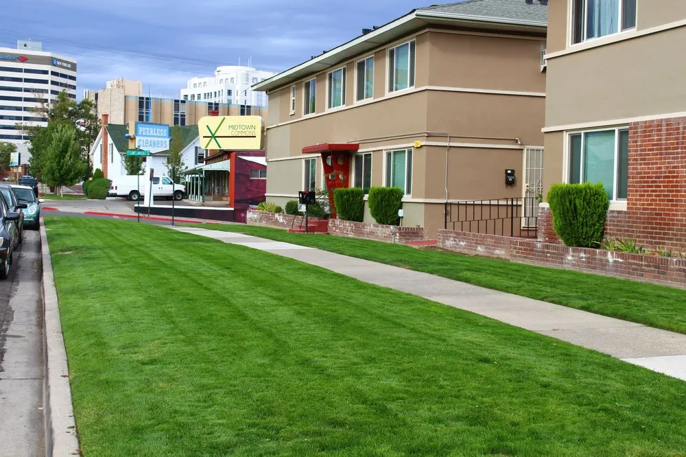 Reliable yard cleanup service for beautiful yards in Reno, NV by Cory's Lawn Service
