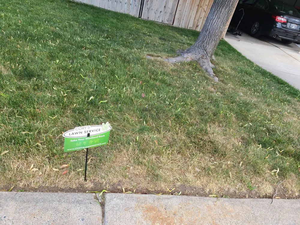 Custom landscape installation for outdoor upgrades in Reno, NV by Cory's Lawn Service