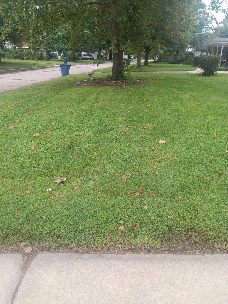 Top-rated landscape design for beautiful yards in Wichita, KS by Cory's Lawn Service