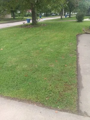 Cory's Lawn Service Logo