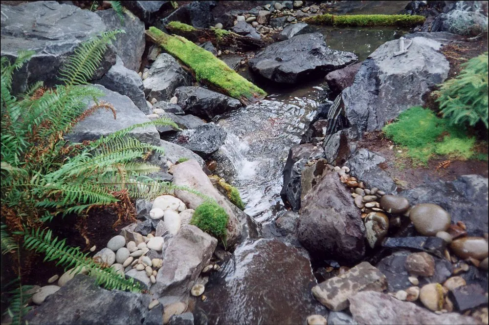 Expert yard cleanup service in Springfield, OR - Cory's Rockeries & Landscaping